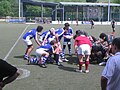 Miniatura para Durango Rugby Taldea