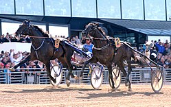 Elitloppet 2011 001.jpg