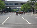 The Men's Open Criterium race Image: SVTCobra.