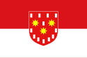 Vlag van De Pinte