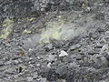 陽明山國家公園地熱氣井與硫磺