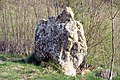 Menhir La Pierre-Drette