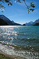 Sponda del lago di Sils.