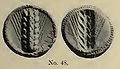 Στατήρας του Μεταποντίου. 5ος-4ος αι. π.Χ.