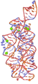A 3D representation of the Ykok leader. Structure of the M-box riboswitch aptamer domain from Bacillus subtilis.[2]