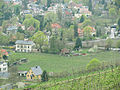 Meinholds Weinberg, Blick von der Cikkurat. Links das Landhaus, dahinter der Turm des verdeckten Turmhauses.