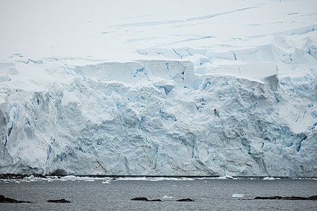 Unknown Glacier, Mikkelsen Harbour, Trinity Island