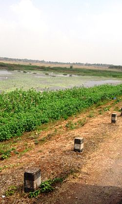 Mysore road from H.D.Kote