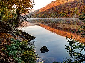 Národní park Podyjí Dyje Nationalpark Thayatal 2013 10 a.jpg