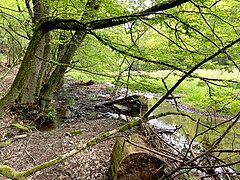 Unterlauf der Brambecke