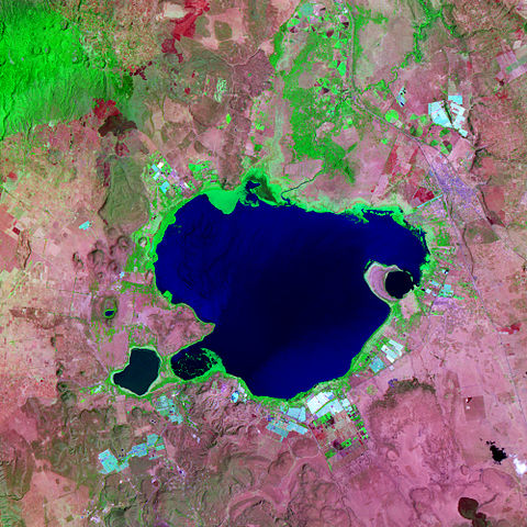 Satellittfoto av Naivasha-innsjøen.