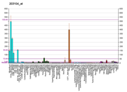 PBB GE CSF1R 203104 в формате fs.png