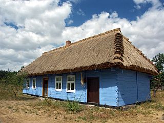 Типова польська хата для села Лович (сучасне фото, музей під музей під відкритим небом у Мавжицях