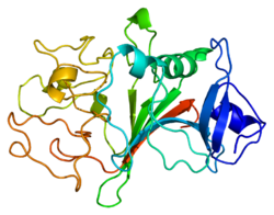 Protein FGG PDB 1fib.png