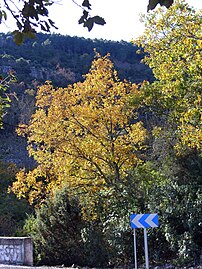 Erkametzak Sierra Madronan (Gaztela-Mantxa)