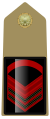 IT-Army-OR6.svg