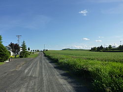 Skyline of Reardan