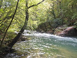 Řeka Čorna