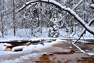 Линдуловская роща и река Рощинка зимой после сильного снегопада