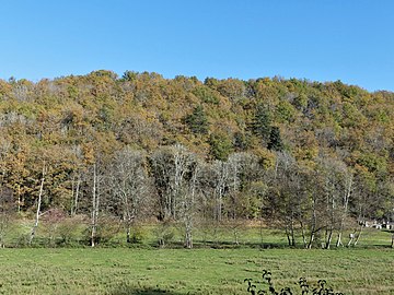 La vallée du ruisseau de Manaurie en amont du lieu-dit Lortal.