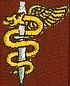 SANDF Ops medic proficiency badge
