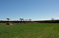 Sant Fruitós de Bages (más fotos: 1)