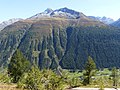 Linia copacilor (coniferelor) în Saumpfad Grimselpass - Obergesteln, Elveția