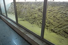A mass grave from the Nanjing Massacre Skeletons of victims in Nanjing Massacre.jpg
