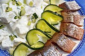 Varian asal Swedia, Matjessill, disajikan dengan salad kentang krim asam dan mentimun