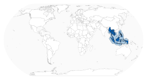 Southeast Asian Nuclear-Weapon-Free Zone.svg