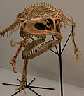 Miniatura Staurikozaur