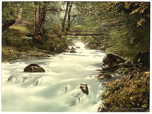 A view along the ravine at the Birks of Aberfeldy.