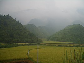 Tongshan-County-оризови полета-9881.jpg