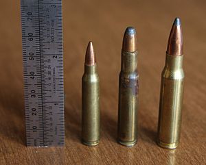 .30 Remington with .223 Rem and .308 Win.JPG