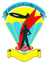 442 Troop Carrier Wing emblem.png