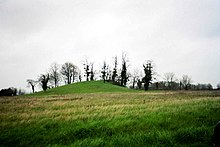 Photographie en couleurs d'une butte partiellement plantée d'arbres au milieu d'une prairie.