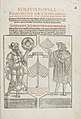 Folium populi, 1533