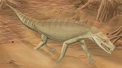 Armadillosuchus.jpg