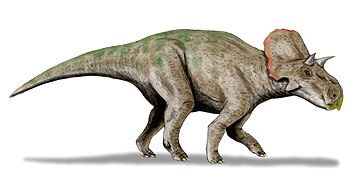 Avaceratops