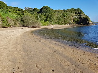 Mixed mud/sand beach in the interior of Tomales Bay, California.