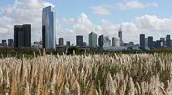 Buenos Aires CBD skyline from the Ecological Reserve