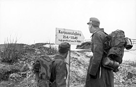 Bundesarchiv Bild 101I-103-0909-06, Nordeuropa, Soldaten vor Hinweisschild.jpg