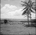 Hills around Mbanza-Ngungu.