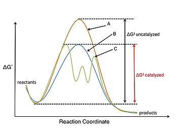 Reaction coordinate energy diagram for uncatalysed and catalysed reactions, the latter without and with change in mechanism.
Trace A. presents the uncatalysed reaction pathway (orange), with its free energy of activation. Trace B. presents a catalysed reaction pathway (blue), with its lowered relative free energy of activation. Trace C. presents a complex, altered reaction pathway (brown) for the same reaction proceeding by a different mechanism involving two kinetically discrete intermediates. Catalytic reaction coordinate.jpg