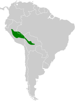 Distribución geográfica del saltarín coliancho.