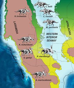 Chasmosaurine distribution.png