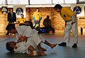 7 Le jiu-jitsu brésilien