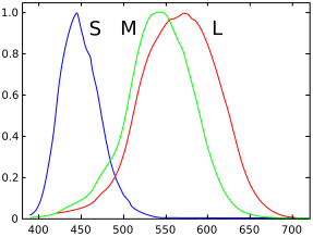 287px-Cones_SMJ2_E.svg.png