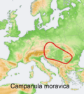 Distribution map Campanula moravica.png