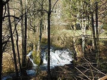 Der Dooser Wasserfall, vom linken Ufer der Wiesent aus gesehen